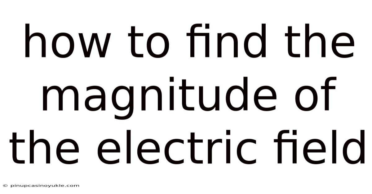 How To Find The Magnitude Of The Electric Field