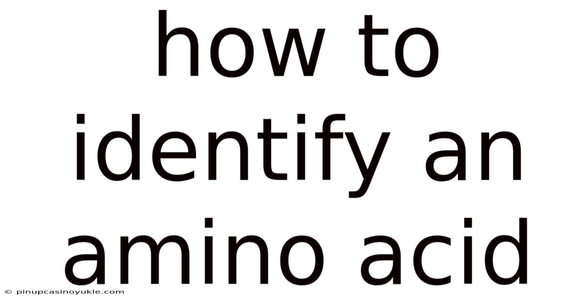How To Identify An Amino Acid