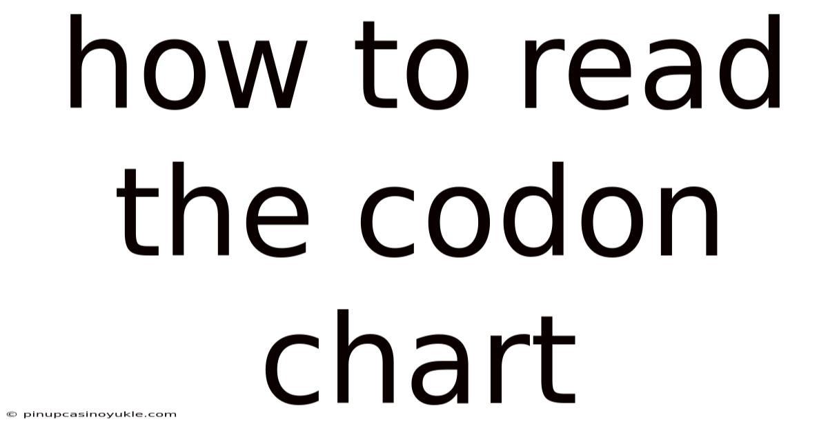 How To Read The Codon Chart