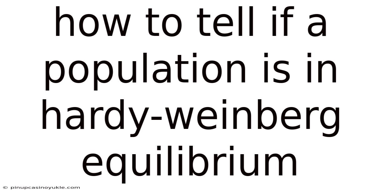 How To Tell If A Population Is In Hardy-weinberg Equilibrium