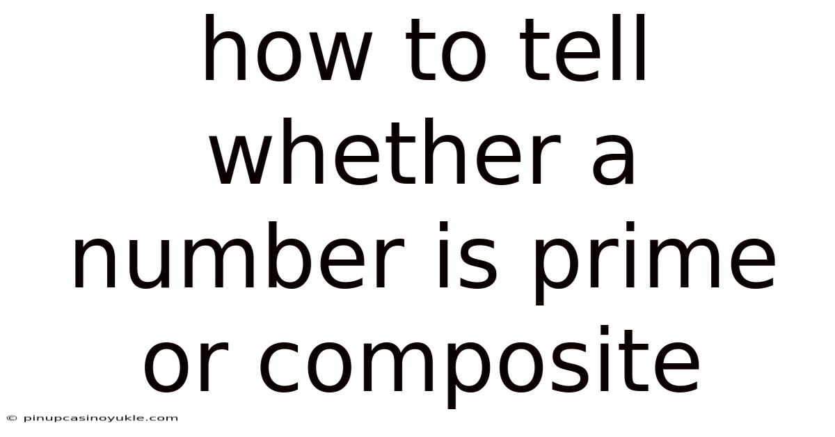 How To Tell Whether A Number Is Prime Or Composite