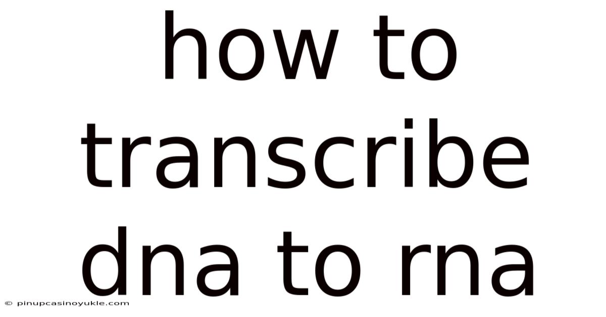How To Transcribe Dna To Rna
