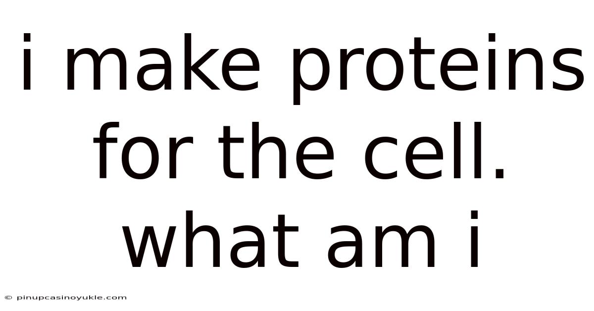 I Make Proteins For The Cell. What Am I