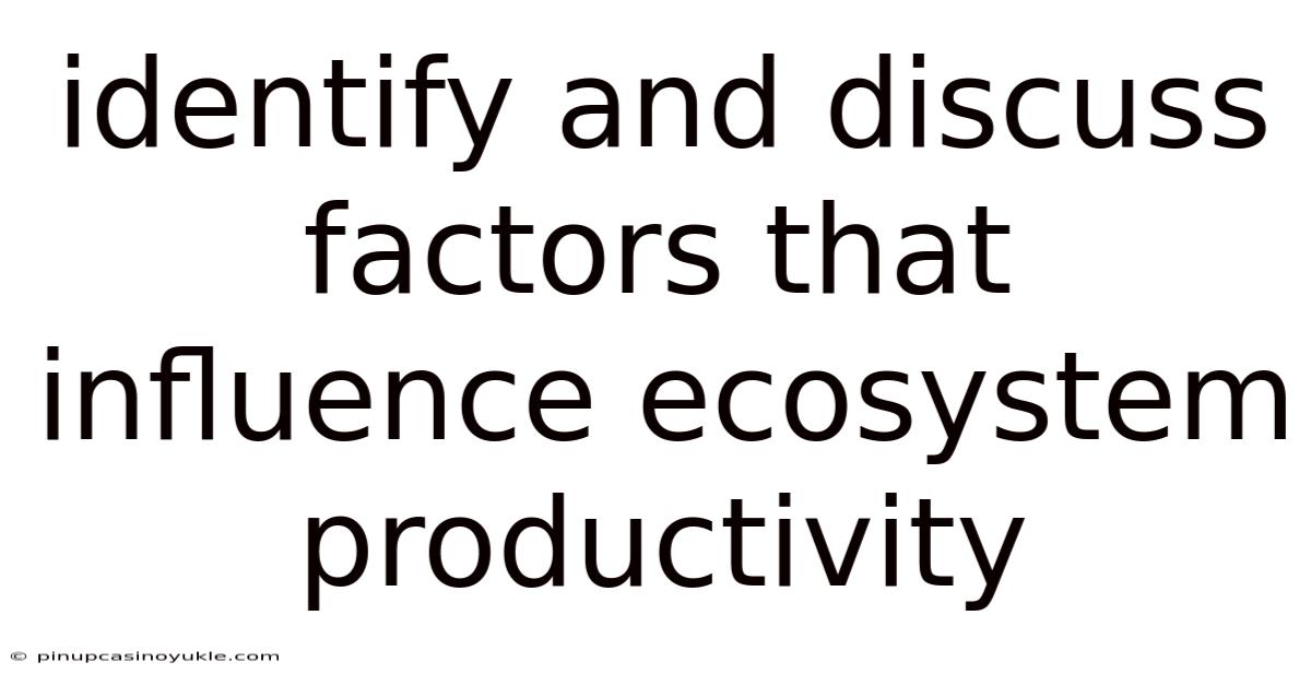 Identify And Discuss Factors That Influence Ecosystem Productivity