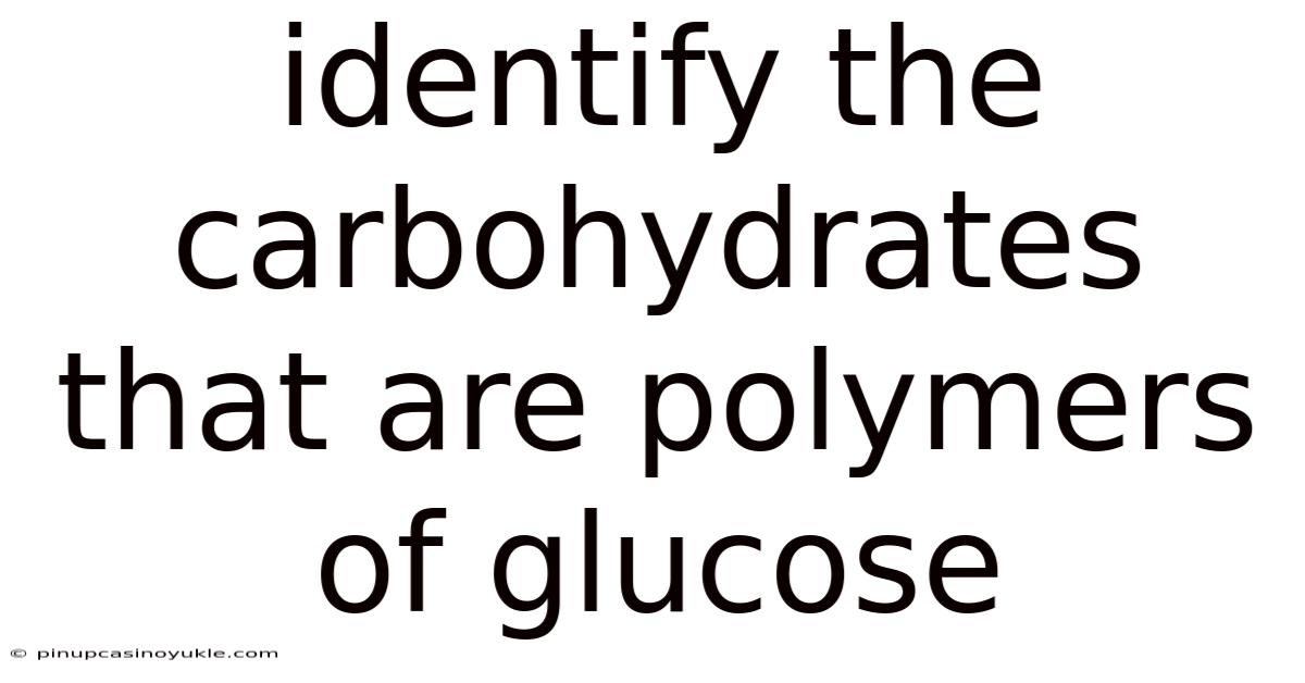 Identify The Carbohydrates That Are Polymers Of Glucose