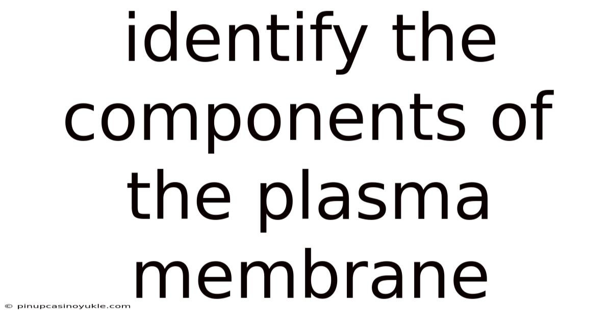 Identify The Components Of The Plasma Membrane