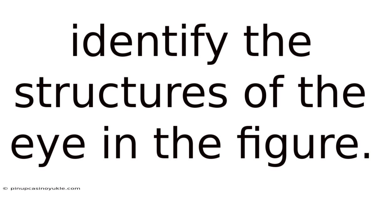 Identify The Structures Of The Eye In The Figure.