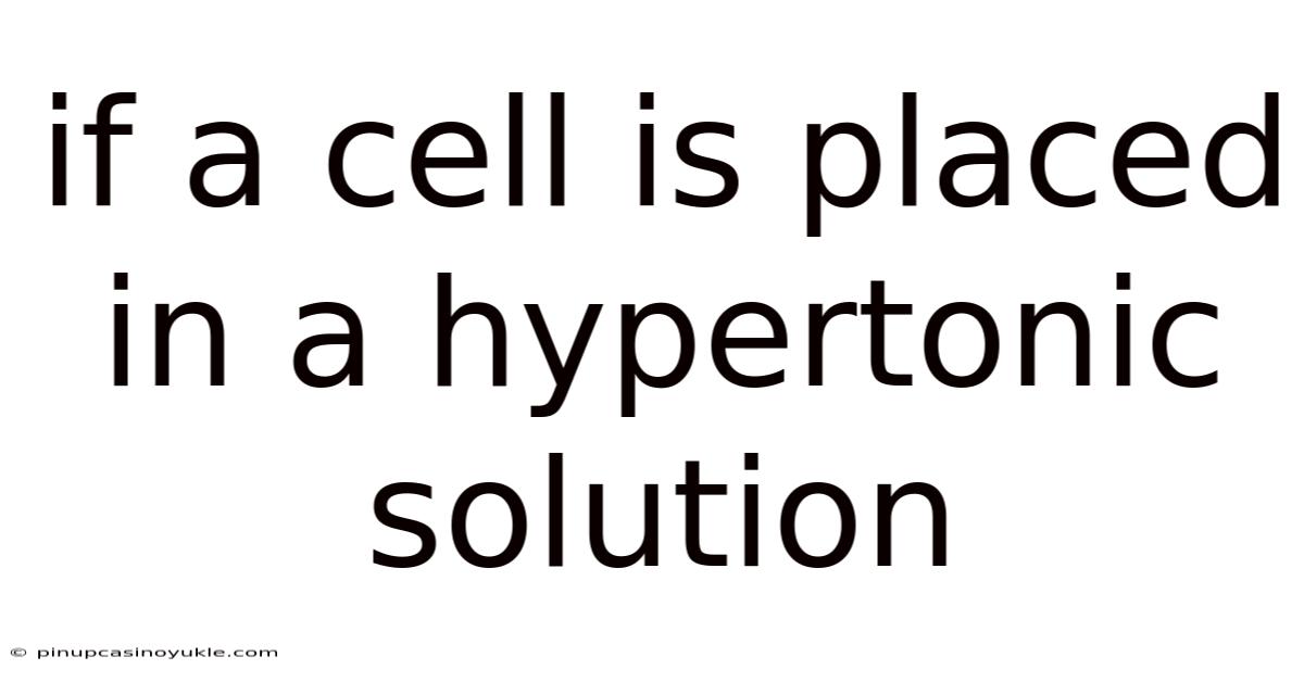 If A Cell Is Placed In A Hypertonic Solution