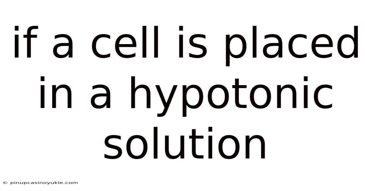 If A Cell Is Placed In A Hypotonic Solution