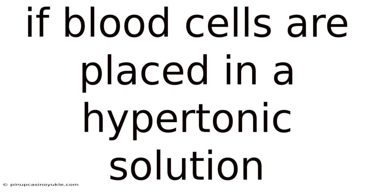 If Blood Cells Are Placed In A Hypertonic Solution