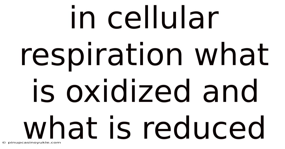 In Cellular Respiration What Is Oxidized And What Is Reduced