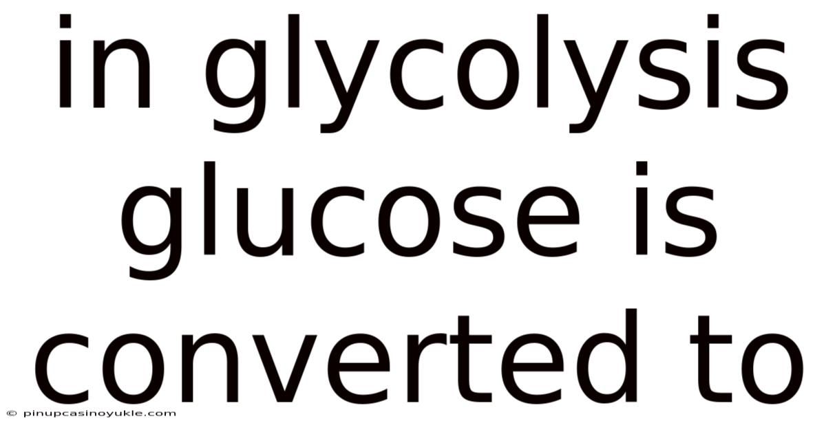 In Glycolysis Glucose Is Converted To