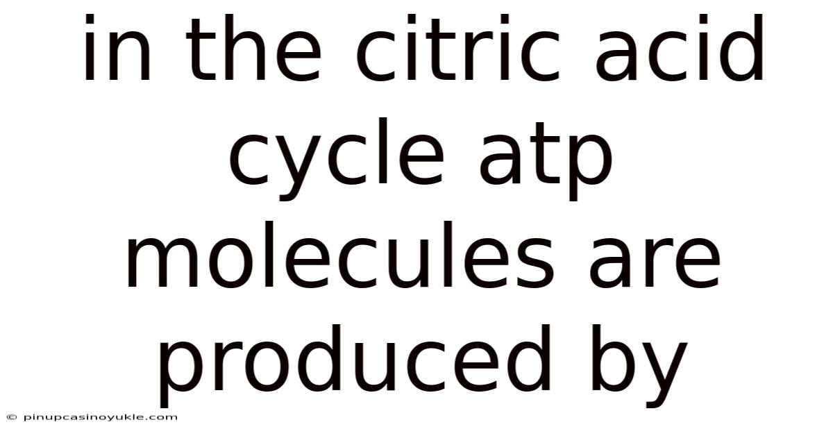 In The Citric Acid Cycle Atp Molecules Are Produced By