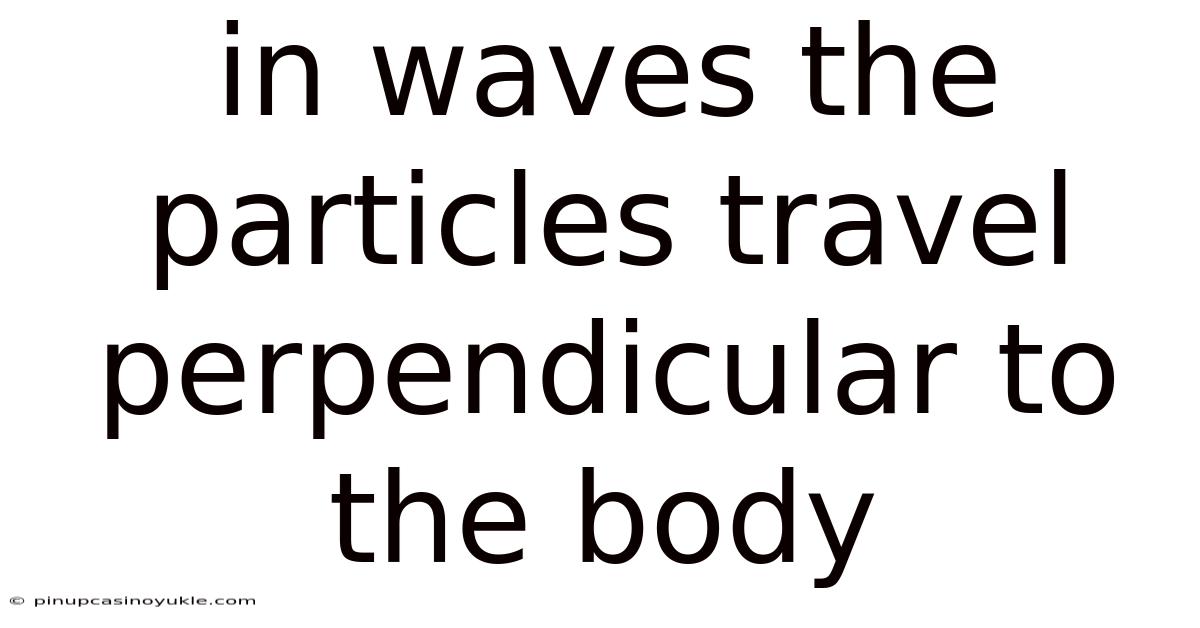 In Waves The Particles Travel Perpendicular To The Body