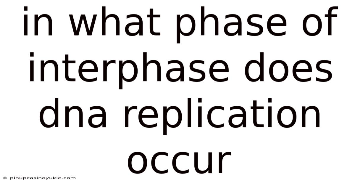 In What Phase Of Interphase Does Dna Replication Occur