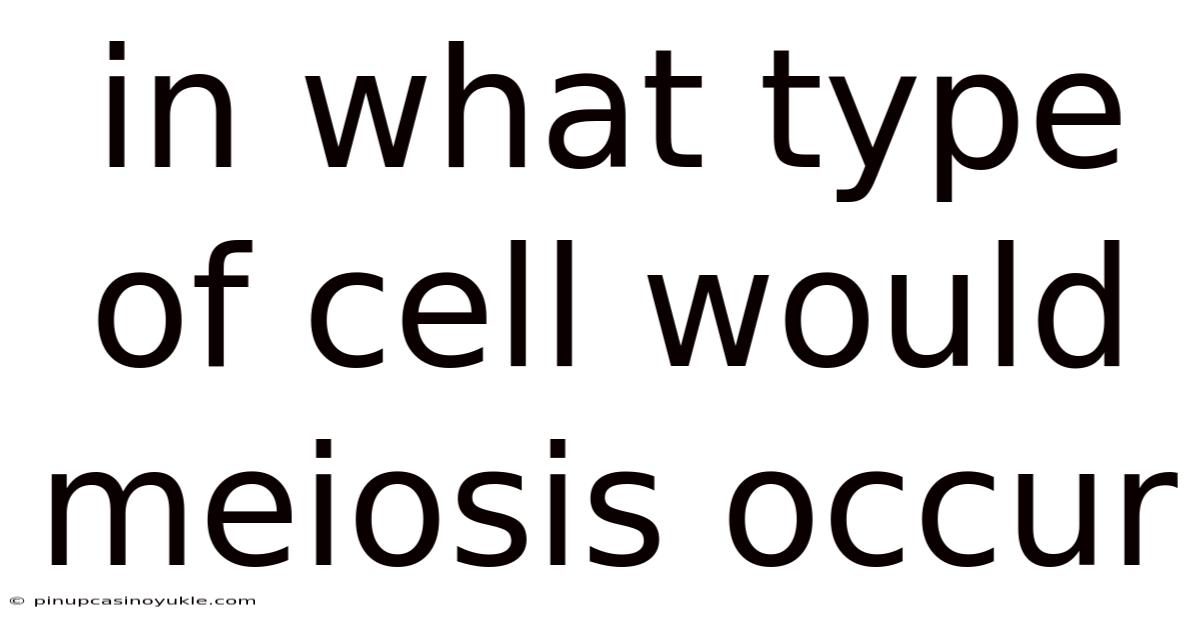 In What Type Of Cell Would Meiosis Occur