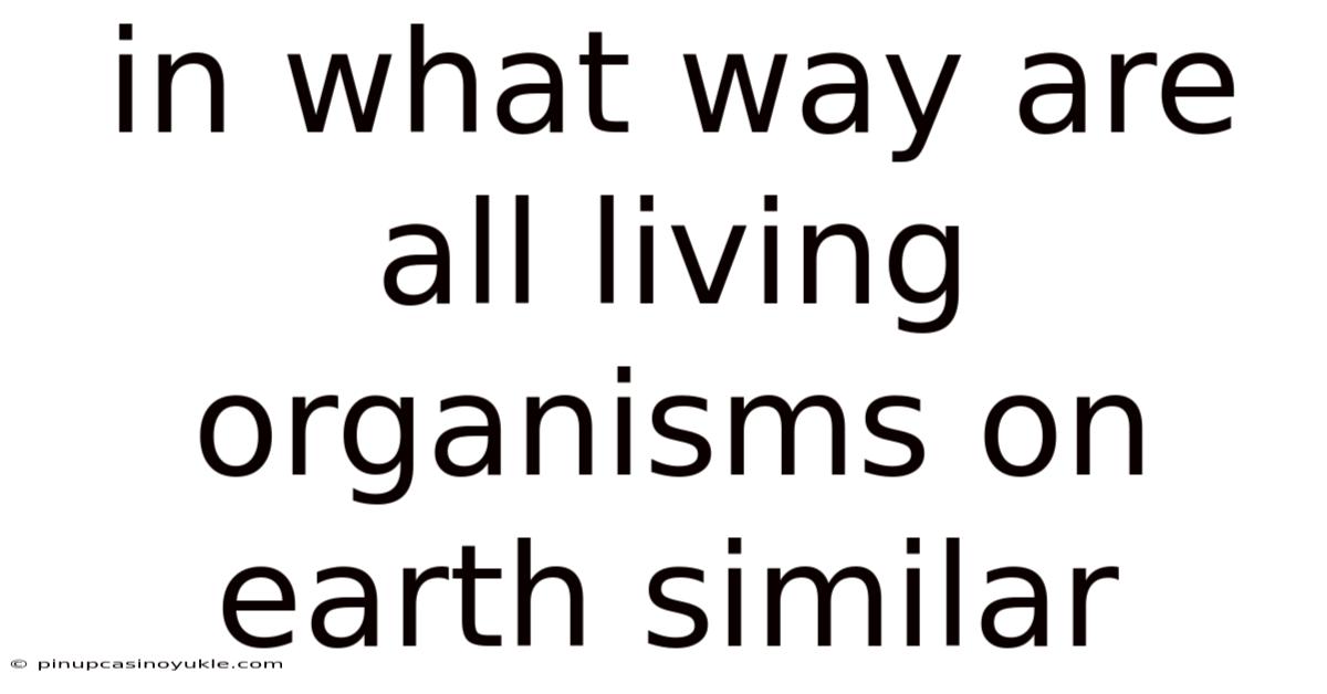 In What Way Are All Living Organisms On Earth Similar