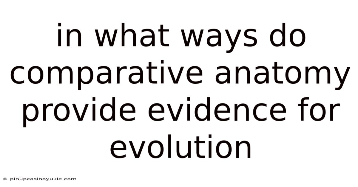 In What Ways Do Comparative Anatomy Provide Evidence For Evolution
