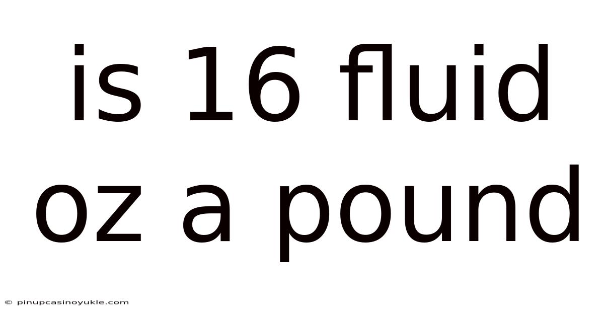 Is 16 Fluid Oz A Pound