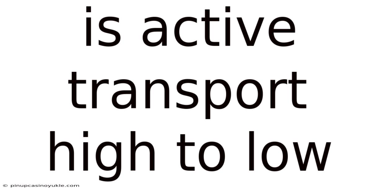 Is Active Transport High To Low