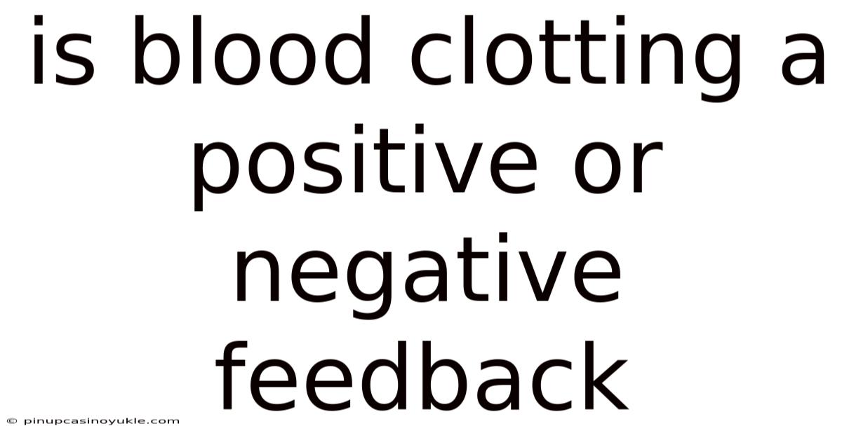 Is Blood Clotting A Positive Or Negative Feedback