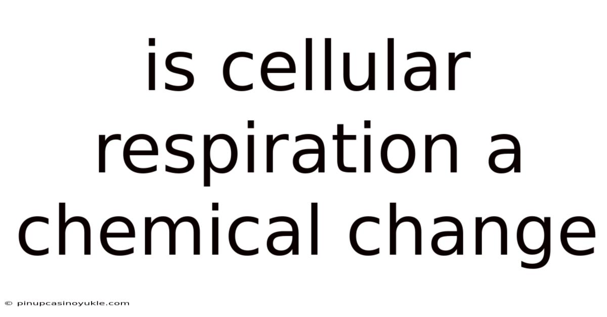 Is Cellular Respiration A Chemical Change