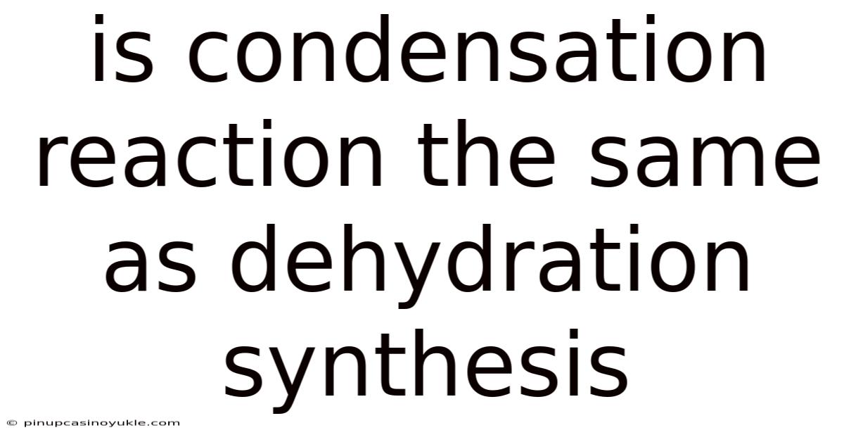 Is Condensation Reaction The Same As Dehydration Synthesis
