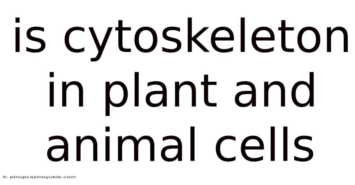 Is Cytoskeleton In Plant And Animal Cells
