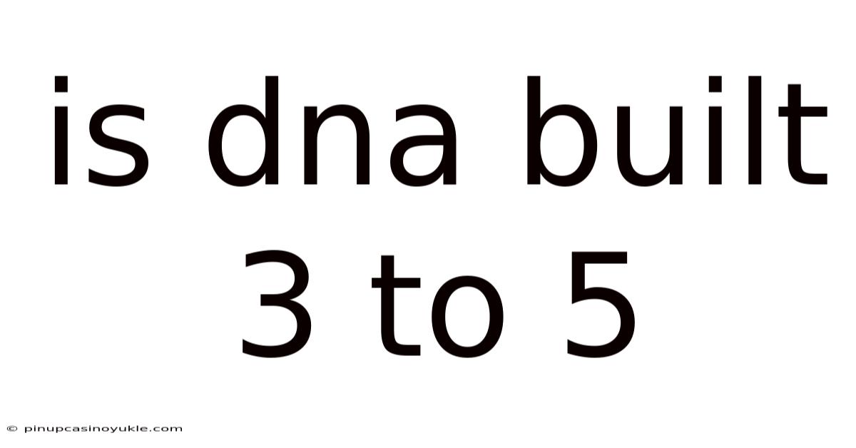 Is Dna Built 3 To 5