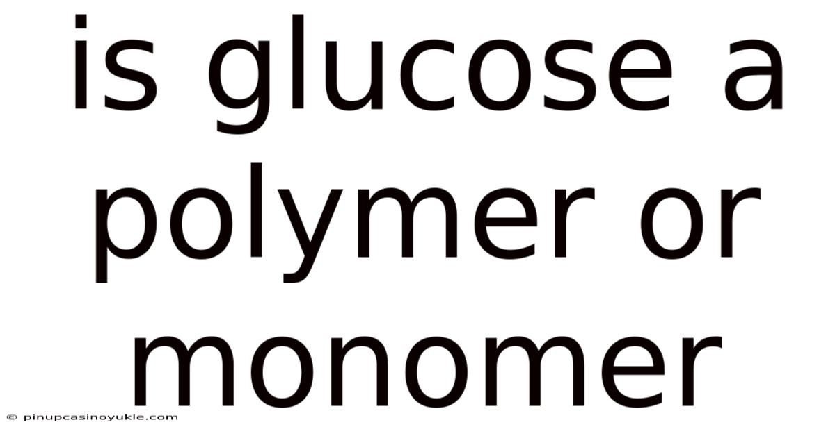 Is Glucose A Polymer Or Monomer