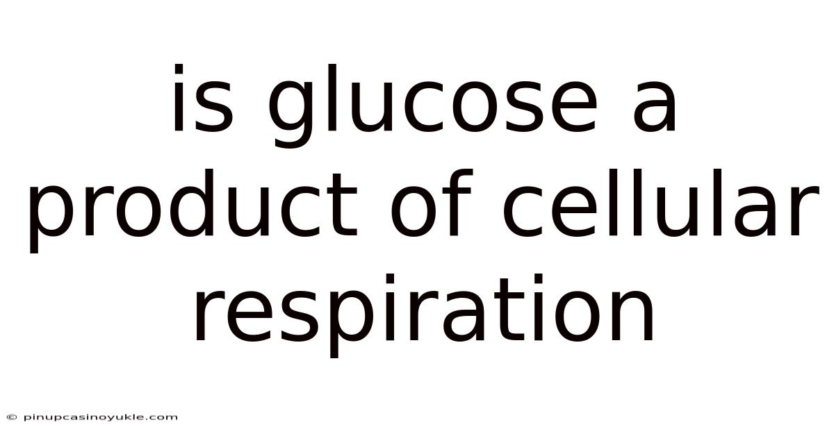 Is Glucose A Product Of Cellular Respiration