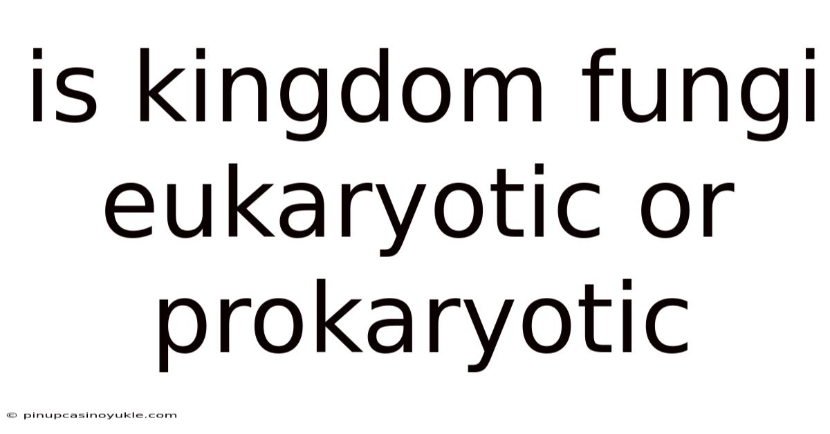 Is Kingdom Fungi Eukaryotic Or Prokaryotic