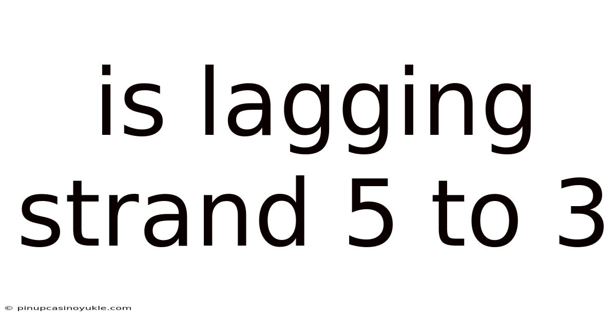 Is Lagging Strand 5 To 3