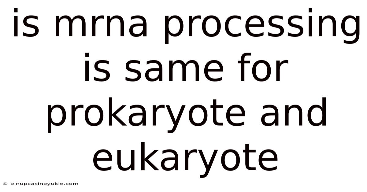 Is Mrna Processing Is Same For Prokaryote And Eukaryote