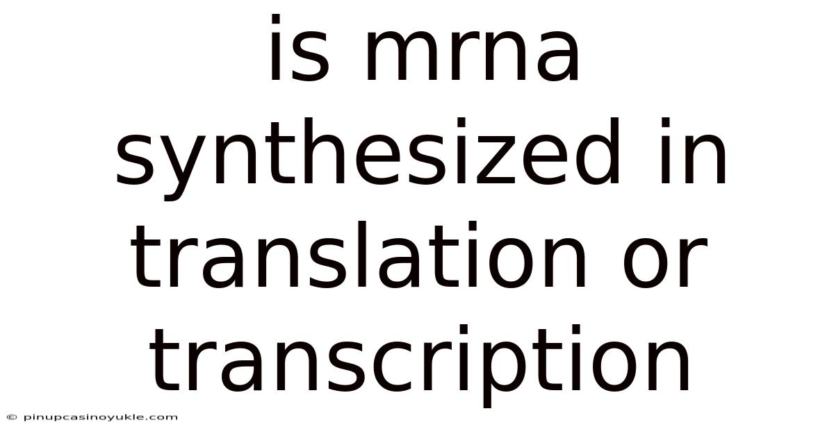 Is Mrna Synthesized In Translation Or Transcription