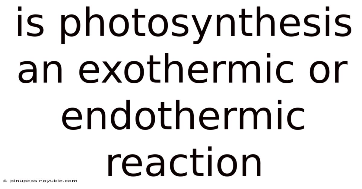 Is Photosynthesis An Exothermic Or Endothermic Reaction