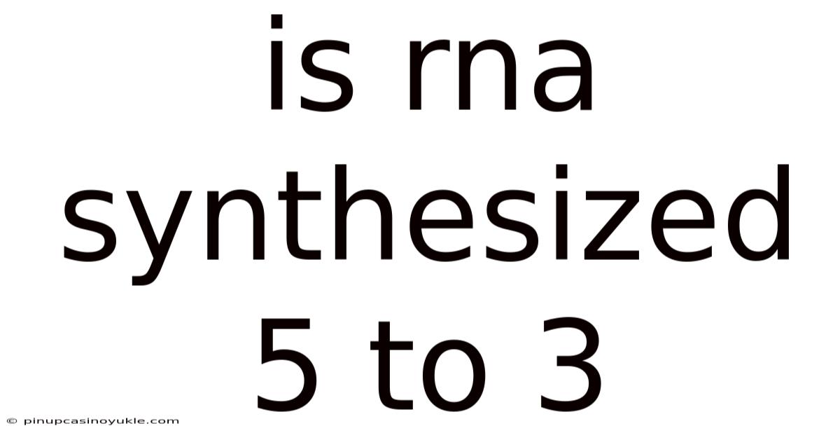 Is Rna Synthesized 5 To 3