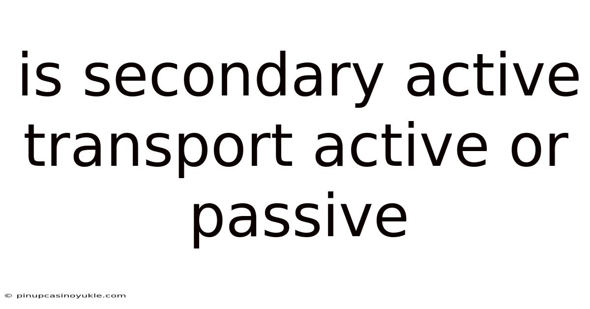 Is Secondary Active Transport Active Or Passive