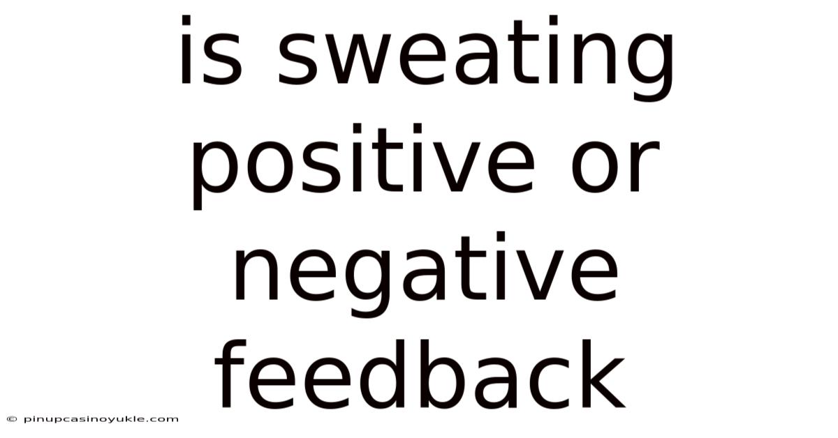 Is Sweating Positive Or Negative Feedback