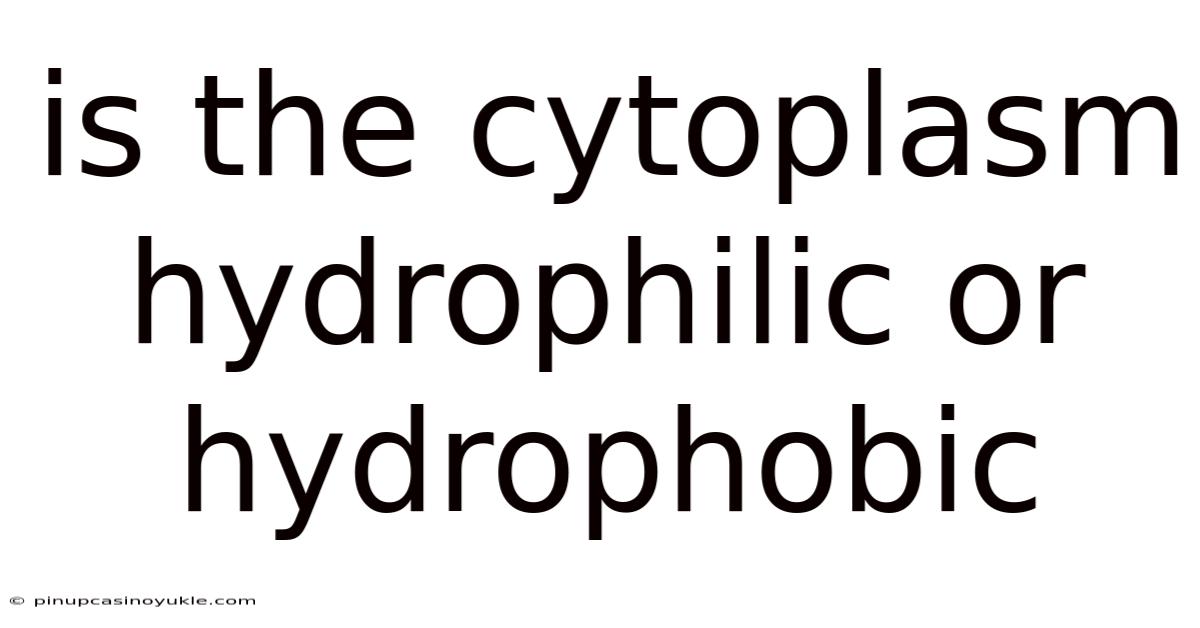 Is The Cytoplasm Hydrophilic Or Hydrophobic