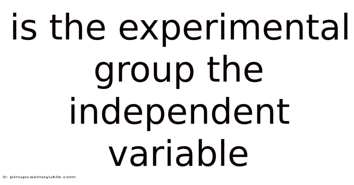 Is The Experimental Group The Independent Variable