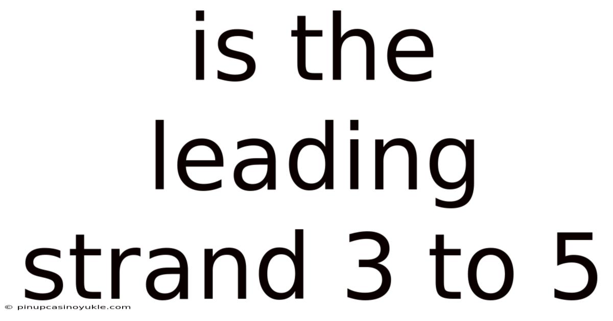Is The Leading Strand 3 To 5