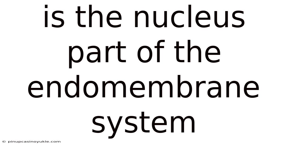 Is The Nucleus Part Of The Endomembrane System