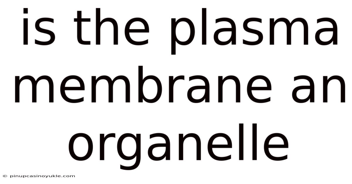 Is The Plasma Membrane An Organelle