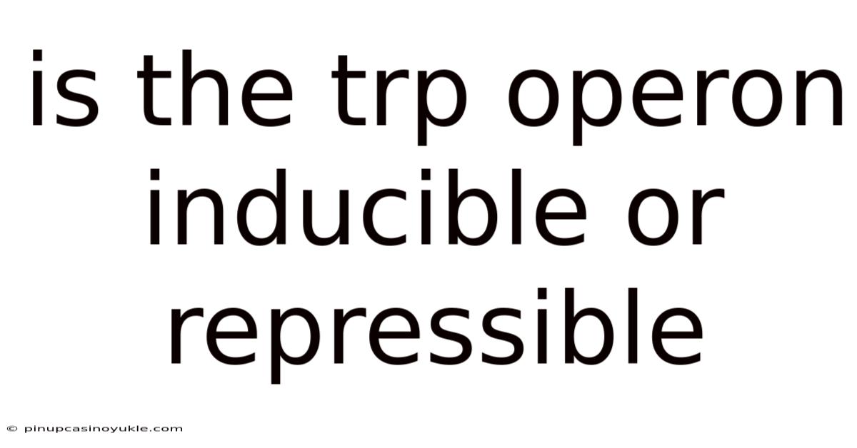 Is The Trp Operon Inducible Or Repressible