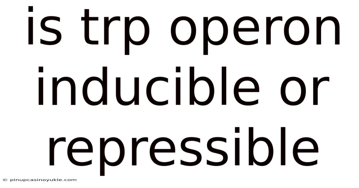 Is Trp Operon Inducible Or Repressible
