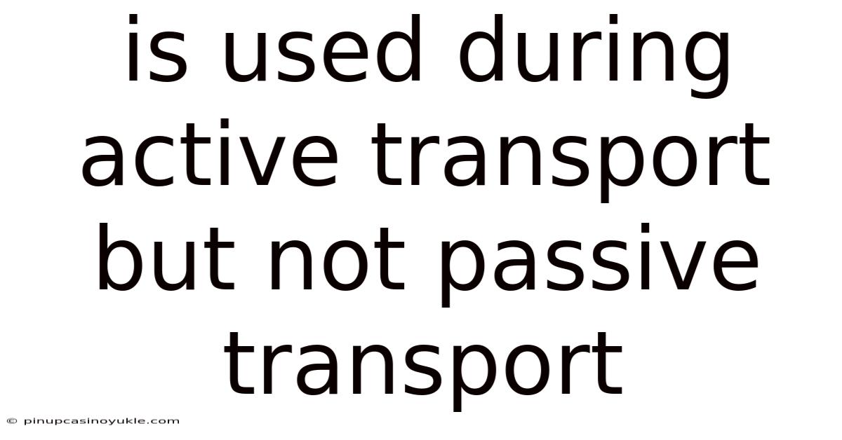 Is Used During Active Transport But Not Passive Transport