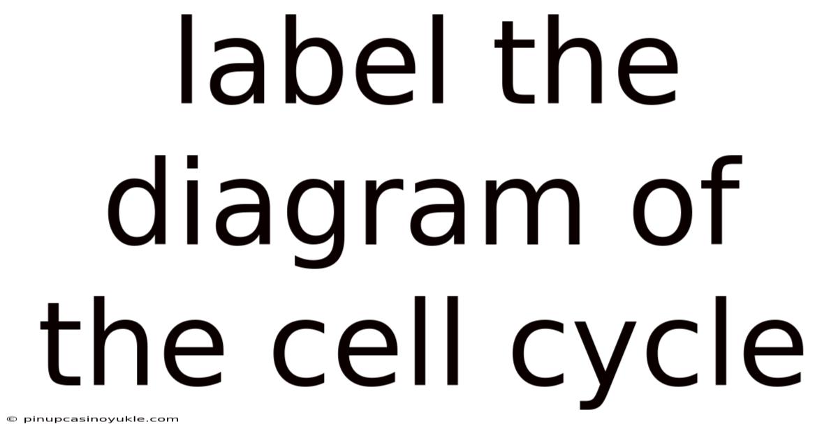 Label The Diagram Of The Cell Cycle