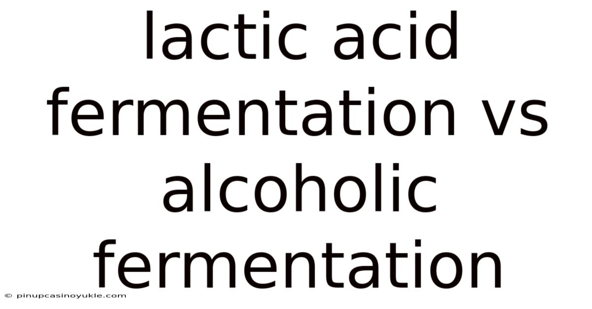 Lactic Acid Fermentation Vs Alcoholic Fermentation