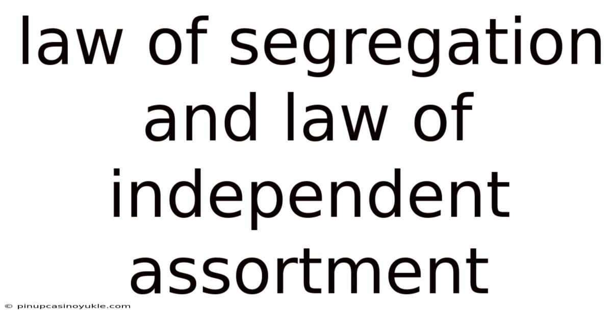 Law Of Segregation And Law Of Independent Assortment